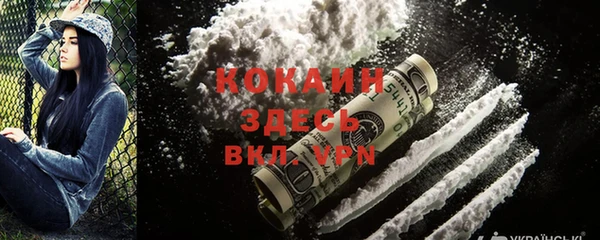 шишки Лихославль