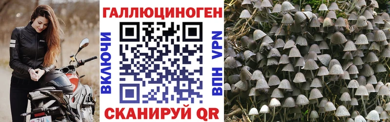 Галлюциногенные грибы мицелий  Тбилисская 