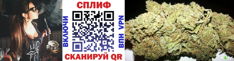 дарнет шоп  Тбилисская  МАРИХУАНА White Widow 